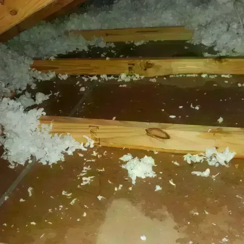 Attic Water Damage in Town and Country, WA